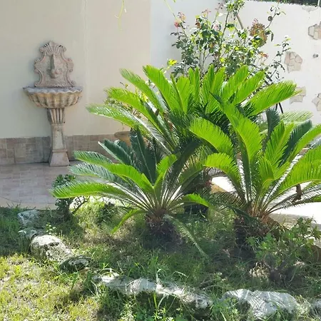 Borgo Panoramico N 3 تروبيا